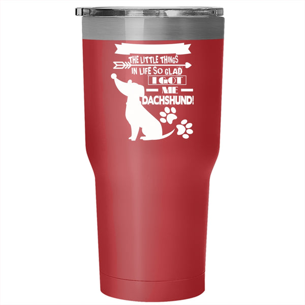 I Got My Dachshund Tumbler 30 oz Stainless Steel, Cute Dachshund Travel Mug