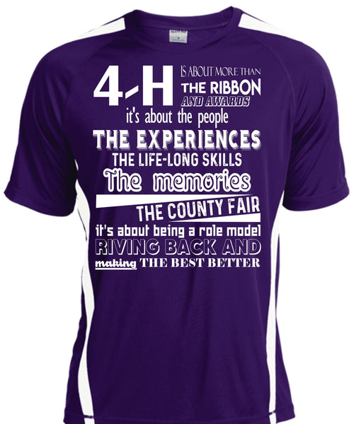 Being A Role Model Giving Back T Shirt, The Memories The County Fair T Shirt, Cool Shirt