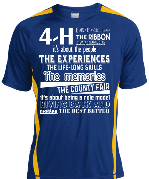 Being A Role Model Giving Back T Shirt, The Memories The County Fair T Shirt, Cool Shirt