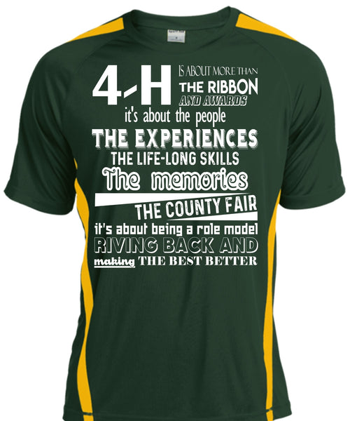 Being A Role Model Giving Back T Shirt, The Memories The County Fair T Shirt, Cool Shirt
