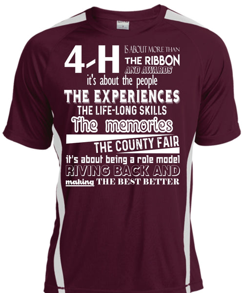 Being A Role Model Giving Back T Shirt, The Memories The County Fair T Shirt, Cool Shirt