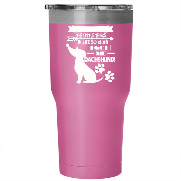 I Got My Dachshund Tumbler 30 oz Stainless Steel, Cute Dachshund Travel Mug