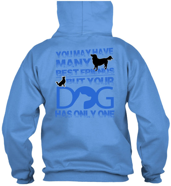 Your Dog Has Only One T Shirt, I Love My Dog T Shirt
