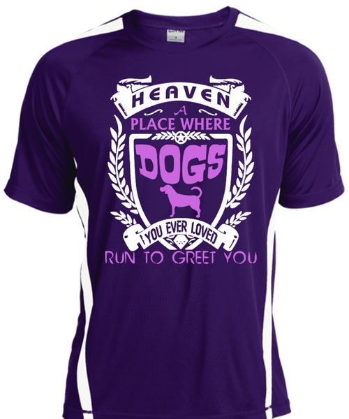 Heaven A Place Where Dogs T Shirt, You Ever Loved Run To Greet You T Shirt