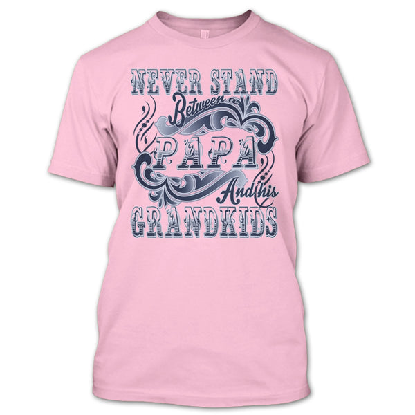 Never Stand Between T Shirt, Coolest Papa T Shirt