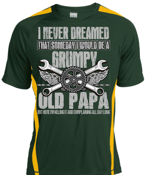 I Would Be A Grumpy Old Papa T Shirt, I Never Dreamed T Shirt, Cool Shirt