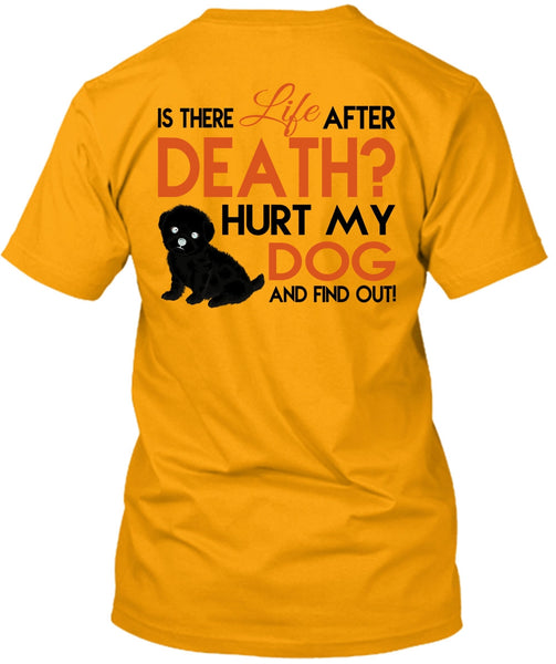 Hurt My Dog And Find Out T Shirt, Favorite T Shirt