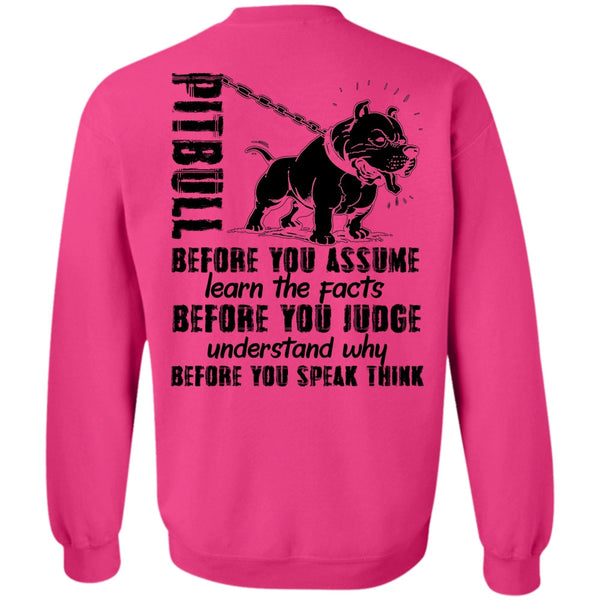 I Love Pit Bull T Shirt, Pit Bull Before You Assume Sweatshirt
