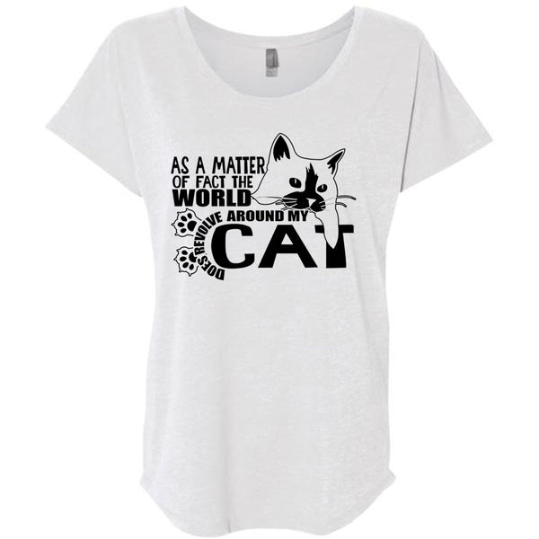 World Does Revolve Around My Cat T Shirt, I Love Cat T Shirt, Awesome T-Shirts