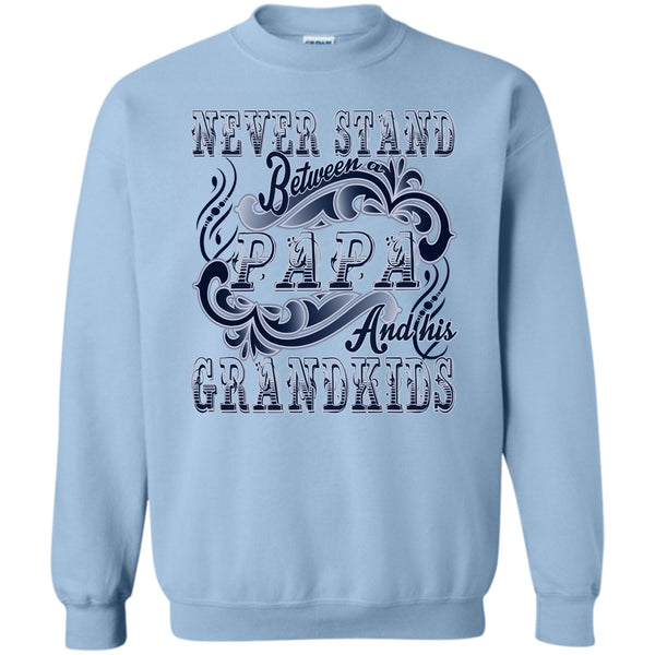 Coolest Papa T Shirt, Never Stand Between Sweatshirt