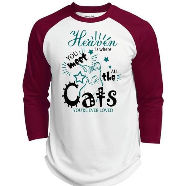 Heaven Is Where You Meet All The Cats T Shirt, I Love My Cat T Shirt, Awesome T-Shirts  (Polyester Game Baseball Jersey)