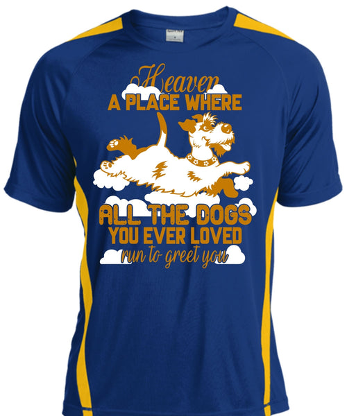 Heaven A Place Where All The Dogs T Shirt, Run To Greet You T Shirt, Cool Shirt