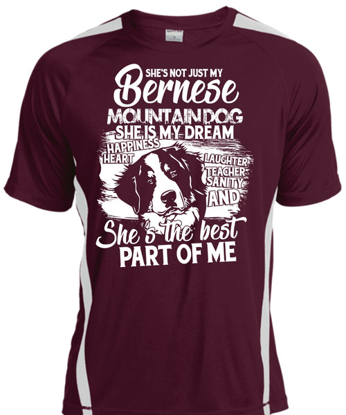 My Bernese Mountain Dog T Shirt, She Is My Dream T Shirt, Cool Shirt