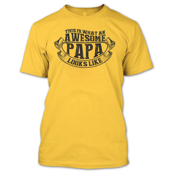Awesome Papa Looks Like T Shirt, Coolest Papa Ever T Shirt