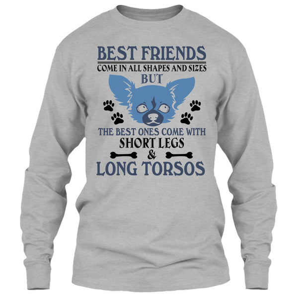 Best Friends Come In All Shapes And Size T Shirt, Coolest Dog T Shirt