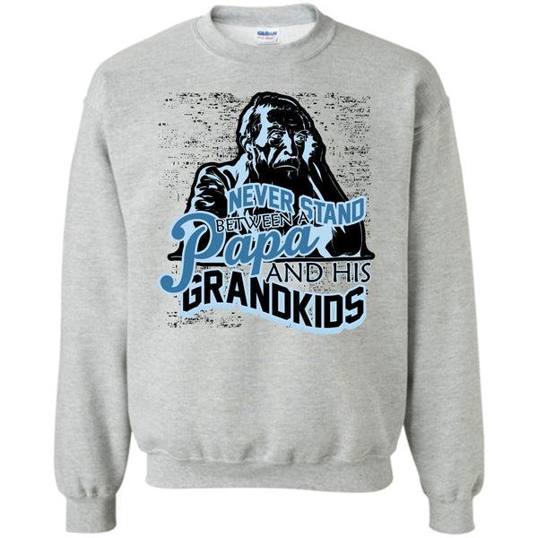 Gift For Papa T Shirt, Never Stand Between Sweatshirt