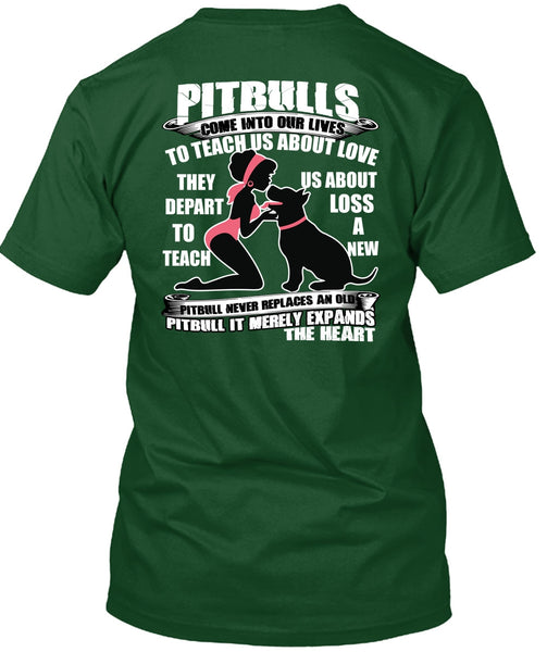 Pit Bulls Come Into Our Lives T Shirt, My Favorite T Shirt