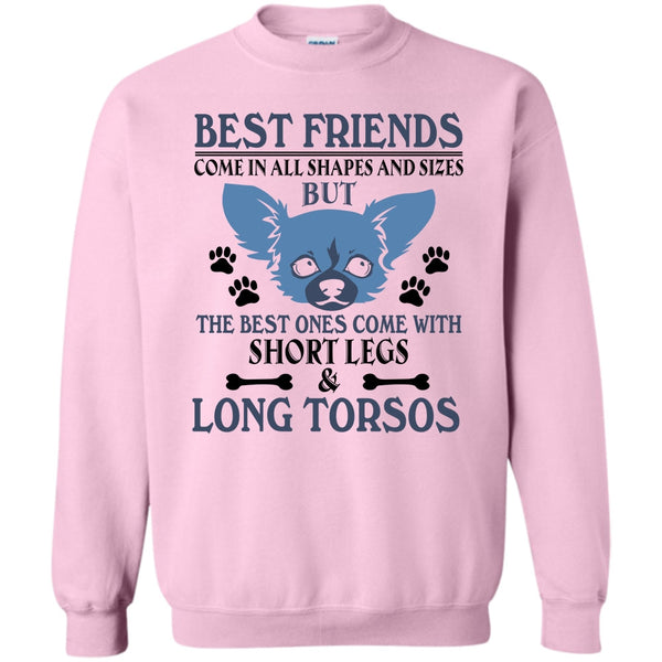 Coolest Dog T Shirt, Best Friends Come In All Shapes And Size Sweatshirt