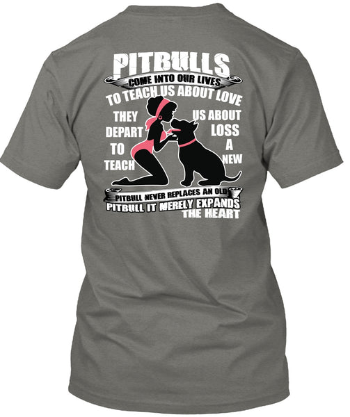 Pit Bulls Come Into Our Lives T Shirt, My Favorite T Shirt