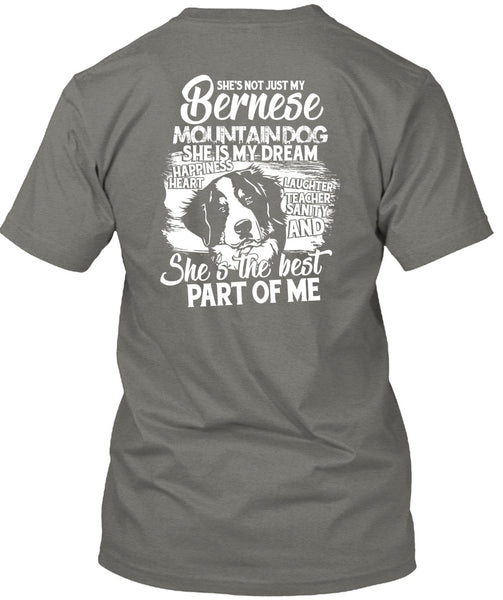 My Bernese Mountain Dog T Shirt, She Is My Dream T Shirt
