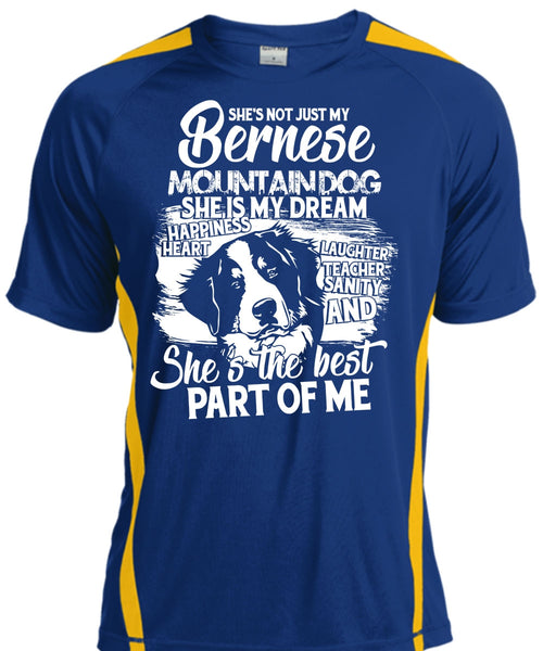 My Bernese Mountain Dog T Shirt, She Is My Dream T Shirt, Cool Shirt