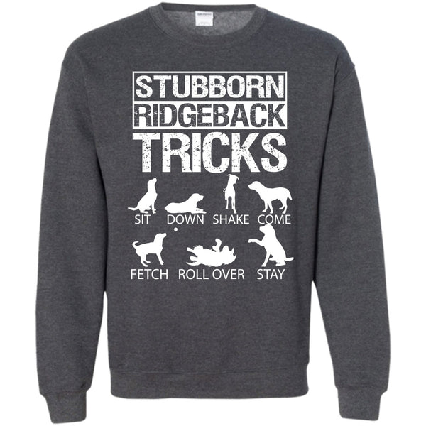 I Love My Dog T Shirt, I Am A Coolest Dog Lover Sweatshirt