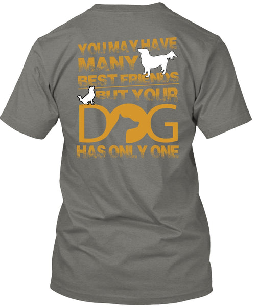 Your Dog Has Only One T Shirt, You May Have Many Best Friend T Shirt