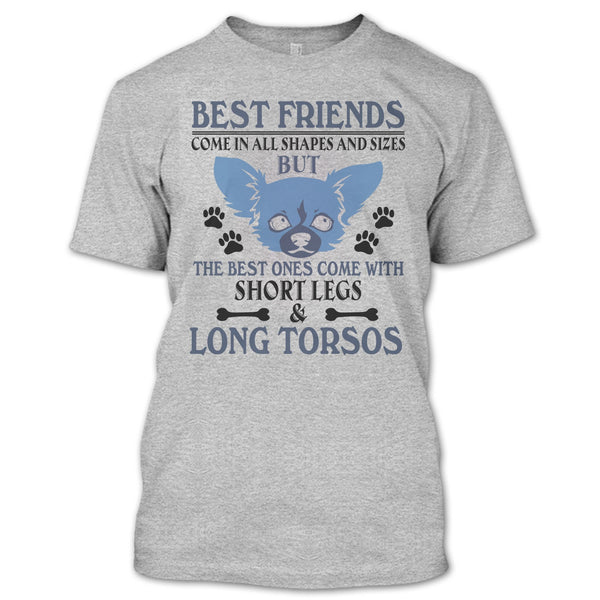 Best Friends Come In All Shapes And Size T Shirt, Coolest Dog T Shirt