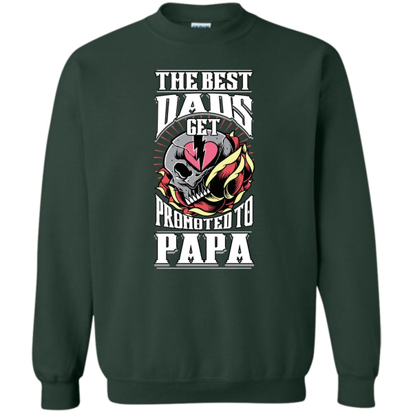Get Promoted To Papa T Shirt, Coolest Papa Ever Sweatshirt