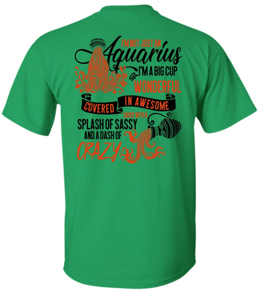 I'm Not Just An Aquarius T Shirt, I Love Aquarius T Shirt