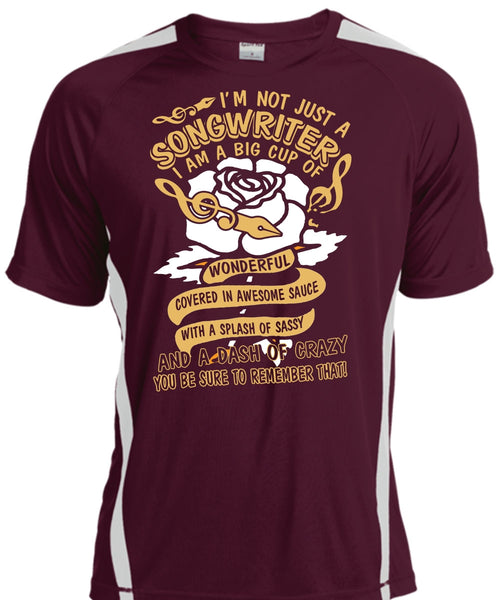 I'm Not Just A Songwriter T Shirt, Being A Writer T Shirt, Cool Shirt
