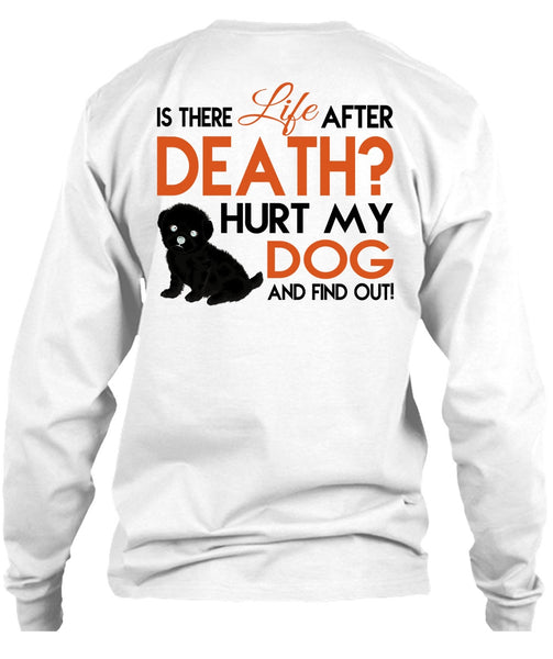 Hurt My Dog And Find Out T Shirt, Favorite T Shirt