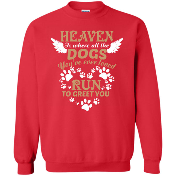 Run To Greet You T Shirt, I Love My Dog Sweatshirt