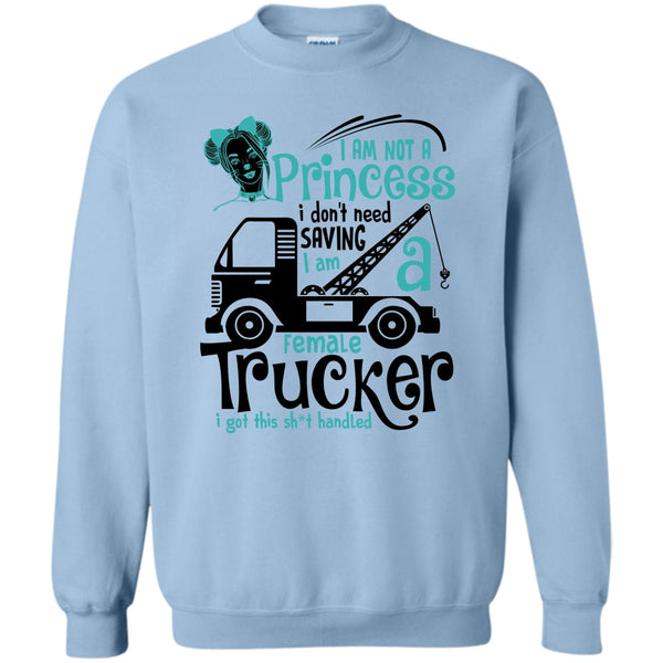 Coolest Trucker T Shirt, I'm Not A Princess Sweatshirt