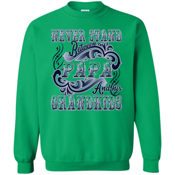 Coolest Papa T Shirt, Never Stand Between Sweatshirt