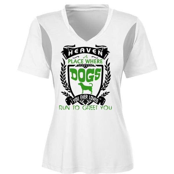 Heaven A Place Where Dogs T Shirt, You Ever Loved Run To Greet You T Shirt, Pets T Shirt