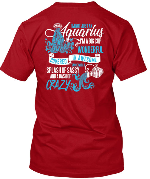 I'm Not Just An Aquarius T Shirt, Dash Of Crazy T Shirt
