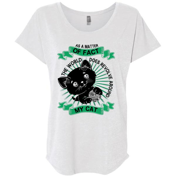 The World Does Revolve Around My Cat T Shirt, I Love My Dog T Shirt, Awesome T-Shirts