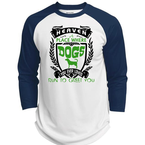 Heaven A Place Where Dogs T Shirt, You Ever Loved Run To Greet You T Shirt, Pets T Shirt  (Polyester Game Baseball Jersey)