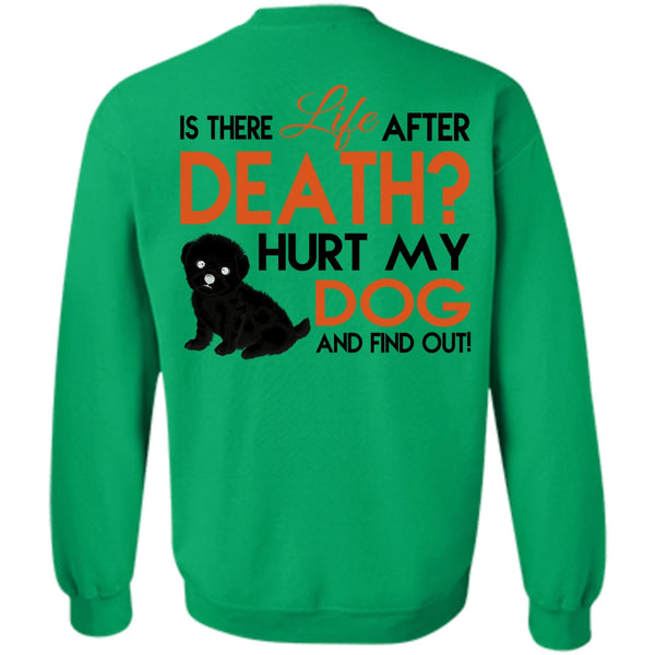 Favorite T Shirt, Hurt My Dog And Find Out Sweatshirt