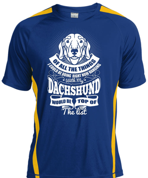 Hanging With My Dachshund T Shirt, My Pets T Shirt, Cool Shirt