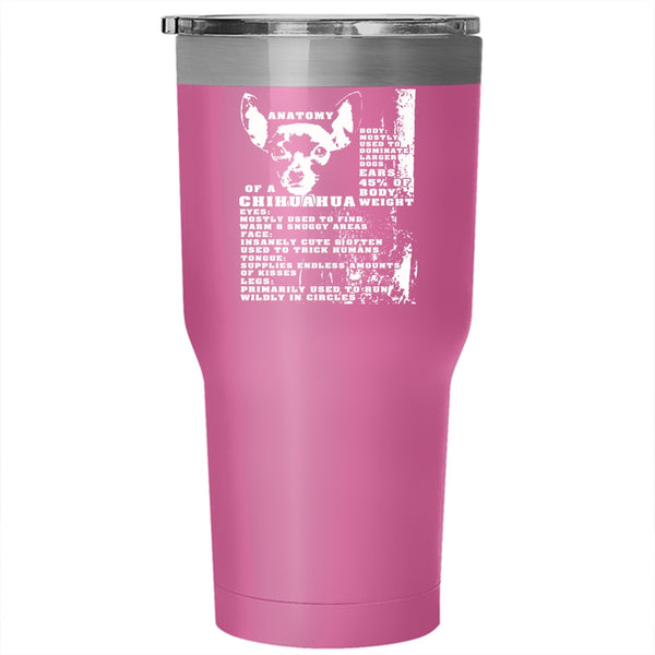 Anatomy Of A Chihuahua Tumbler 30 oz Stainless Steel, Cool Dogs Travel Mug