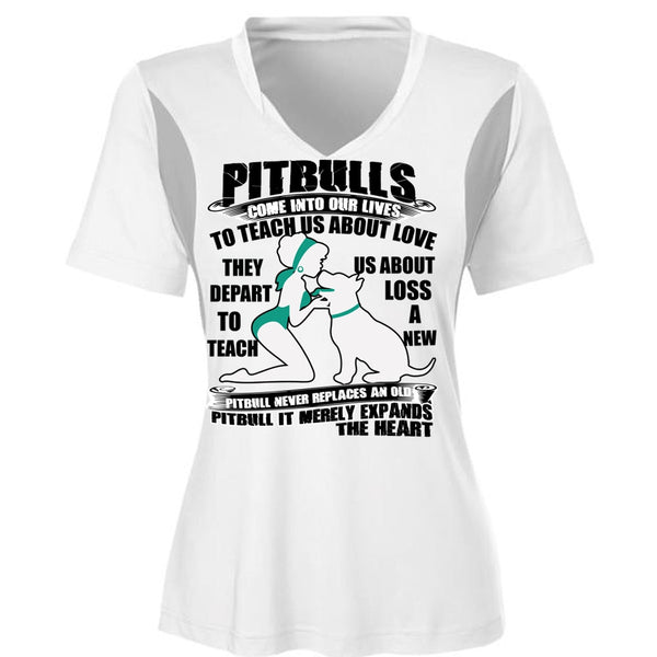 Pit Bulls Come Into Our Lives T Shirt, My Favorite T Shirt, Cool Shirt (Ladies LS Heather V-Neck)