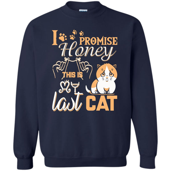 This Is My Last Cat T Shirt, Coolest Cat Lover Sweatshirt