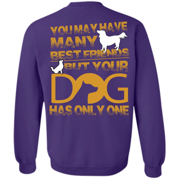 You May Have Many Best Friend T Shirt, I Love My Dog Sweatshirt
