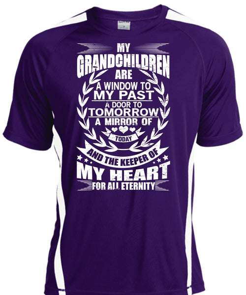 My Grandchildren Are A Window T Shirt, Door To Tomorrow T Shirt, Cool Shirt