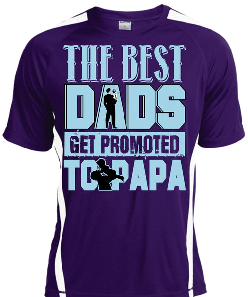 The Best Dads Get Promoted To Papa T Shirt, Being A Papa T Shirt, Cool Shirt