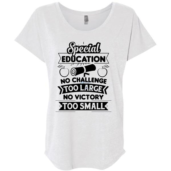 Special Education No Challenge Too Large No Victory Too Small T Shirt, Career T Shirt