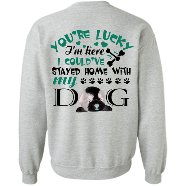 My Love T Shirt, I Could've Stayed Home With My Dog Sweatshirt
