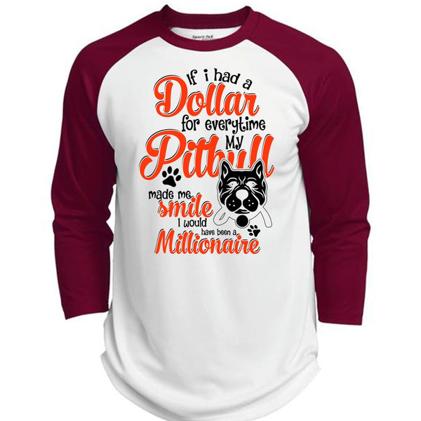 I Had A Dollar For Everytime My Pit Bull T Shirt, I Love Dog T Shirt, Awesome T-Shirts  (Polyester Game Baseball Jersey)